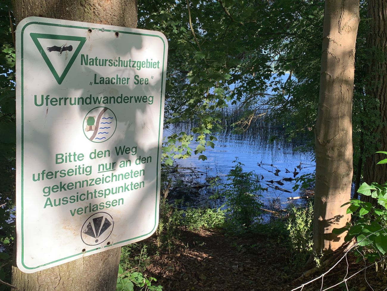 Besucher halten sich nicht an Naturschutzregeln Ansturm am Laacher See