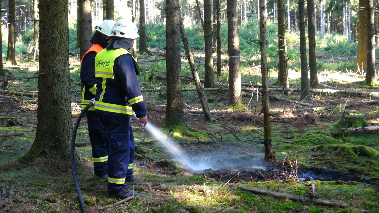 Waldbrandgefahr: Zweithöchste Alarmstufe im Brohltal und Kreis