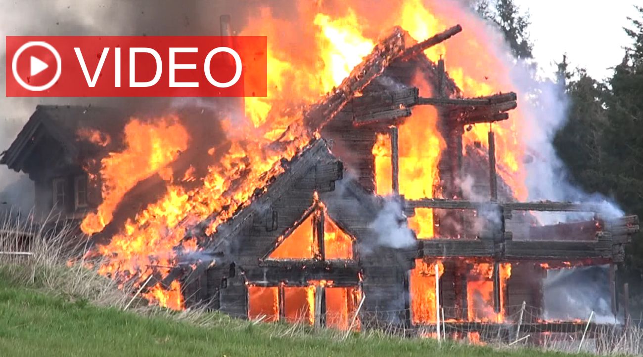 Holzhaus brennt auf Hühnerfarm nieder 3 Hunde sterben im Feuer