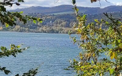 „Freunde der Abtei Maria Laach“ hält Mitgliederversammlung ab