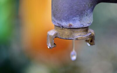 Sitzung des Werkausschusses und der Verbandsversammlung des WVZ „Maifeld-Eifel“