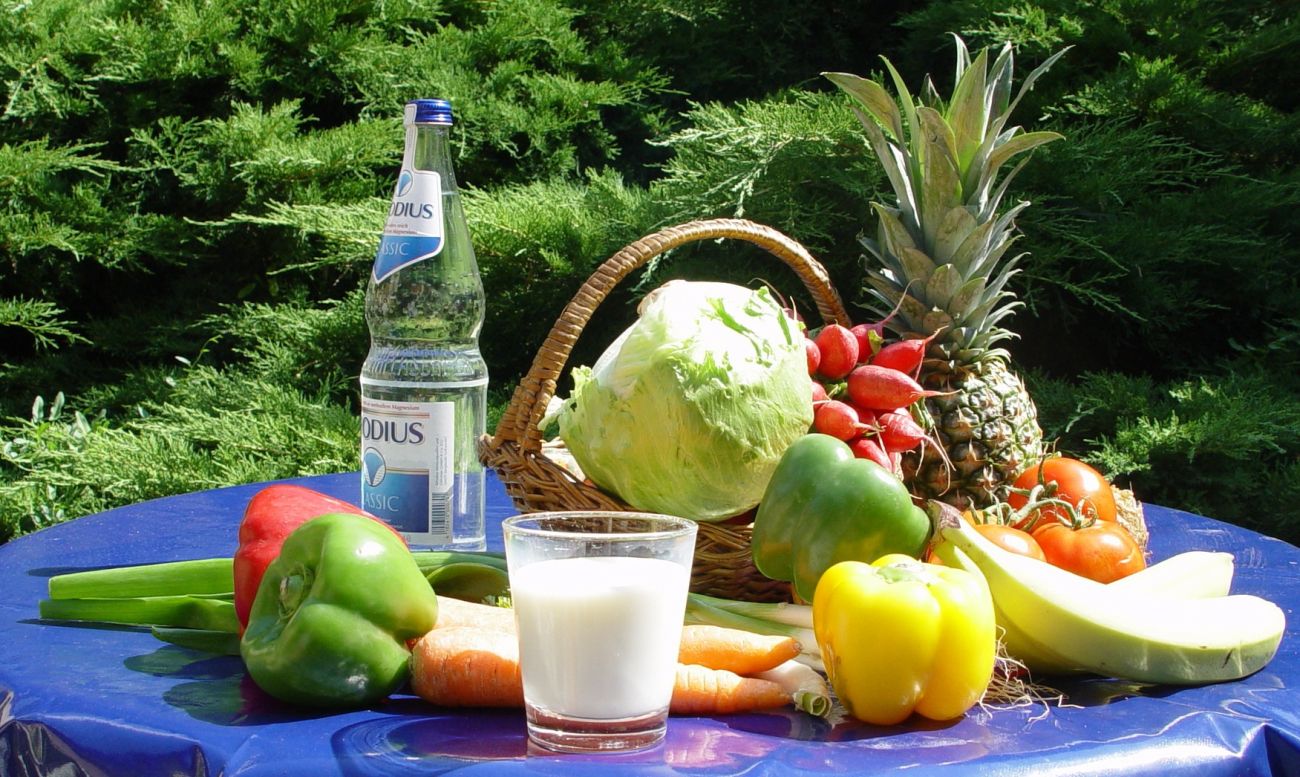 Ferienseminar Ernährung für Kinder und Jugendliche, die nicht verreisen können „Ausflug“ in die Küche