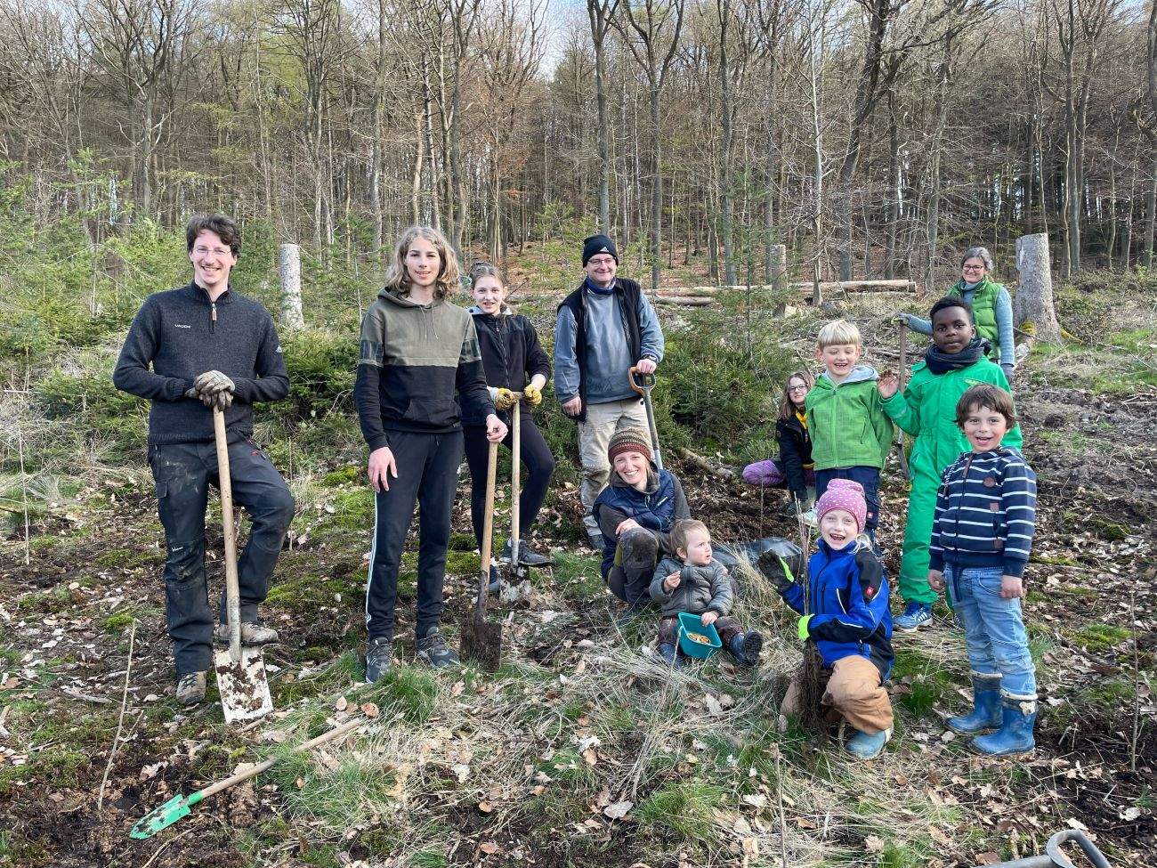 Steinbruch Kids pflanzten 72 Setzlinge Neue Bäume für den Brenker Wald