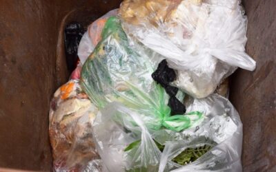 Plastik gehört nicht in die Biotonne Immer mehr Kunststoffe befinden sich im Bioabfall