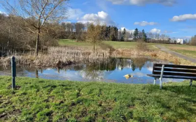 Tolle Naturschutzprojekte in Kempenich