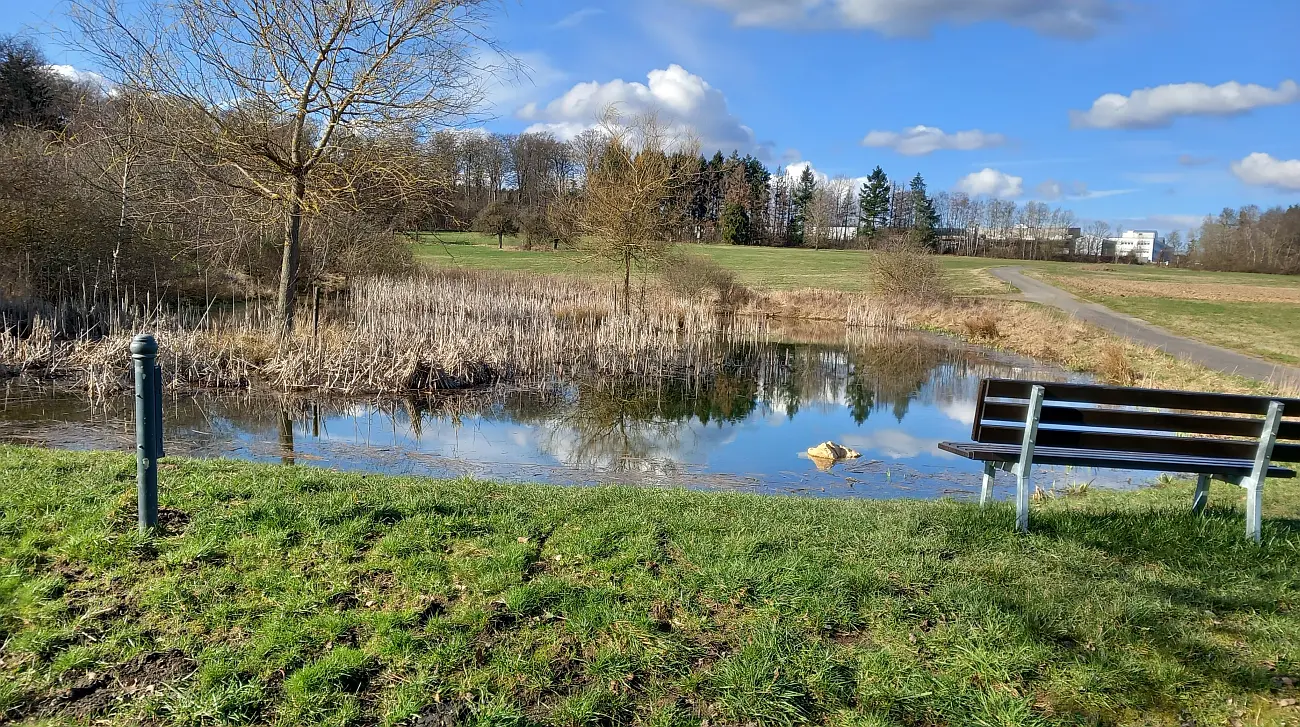 Tolle Naturschutzprojekte in Kempenich