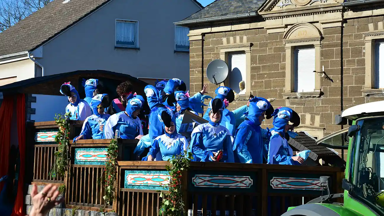 Prinzenwetter und Kamelleregen beim Rosenmontagsumzug in Wehr Mit Bildergalerie