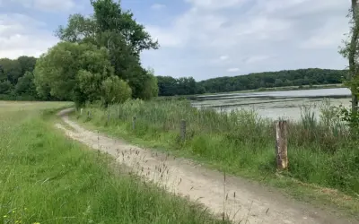 Gemeinderat Niederdürenbach: Erneuerung Rundweg, neue Kehrmaschine und weiteres