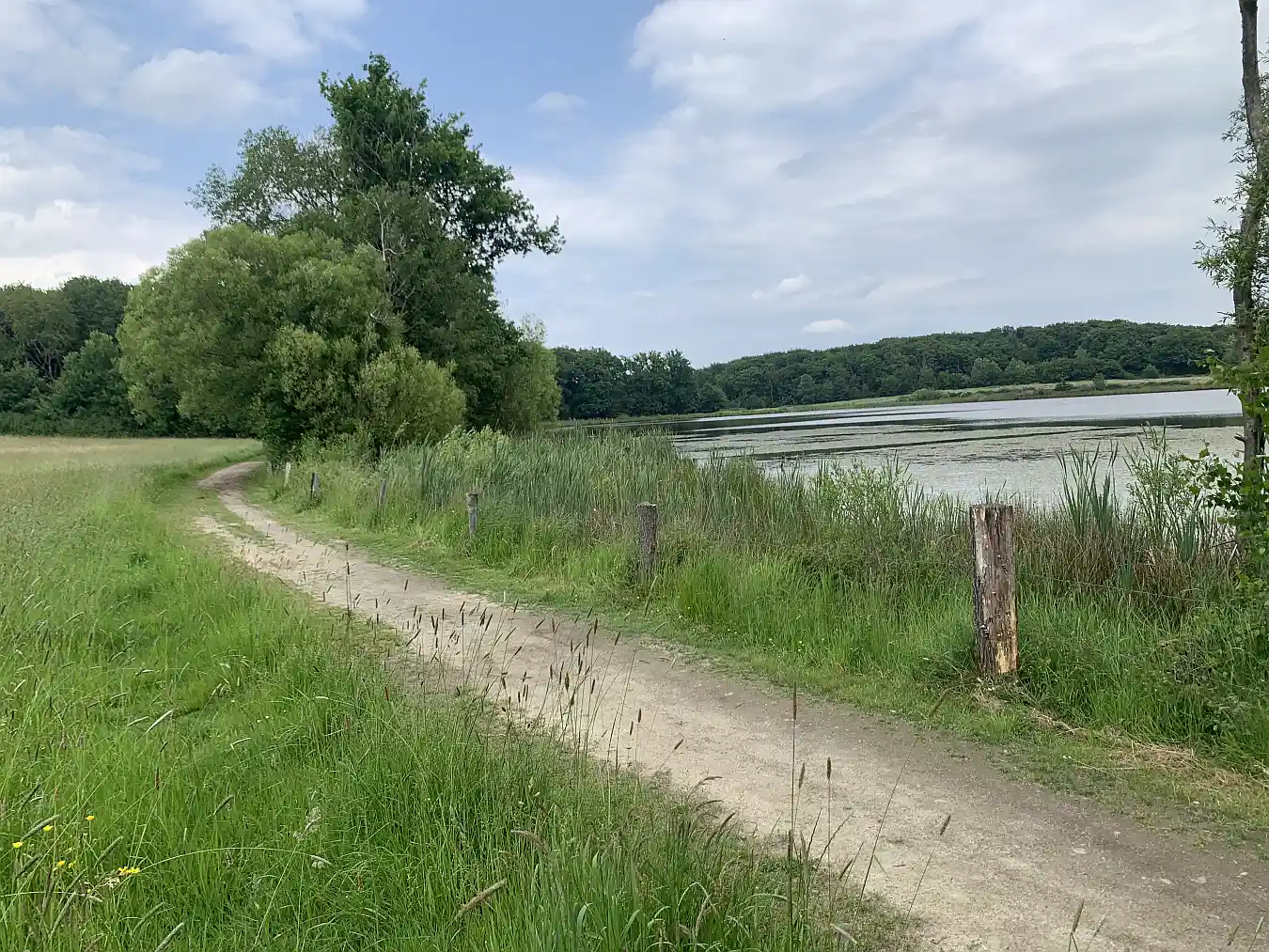 Gemeinderat Niederdürenbach: Erneuerung Rundweg, neue Kehrmaschine und weiteres