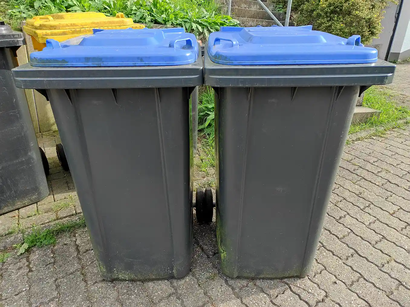 AWB erinnert: Klare Regeln für Altpapier-Beistellungen im AW-Kreis AWB erinnert: Klare Regeln für Altpapier-Beistellungen im AW-Kreis
