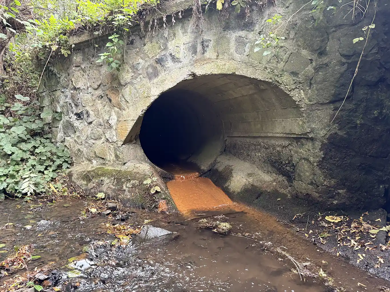 Niederdürenbach: Sanierung der Dürenbach-Verrohrung und neue Maßnahmen zum Hochwasserschutz