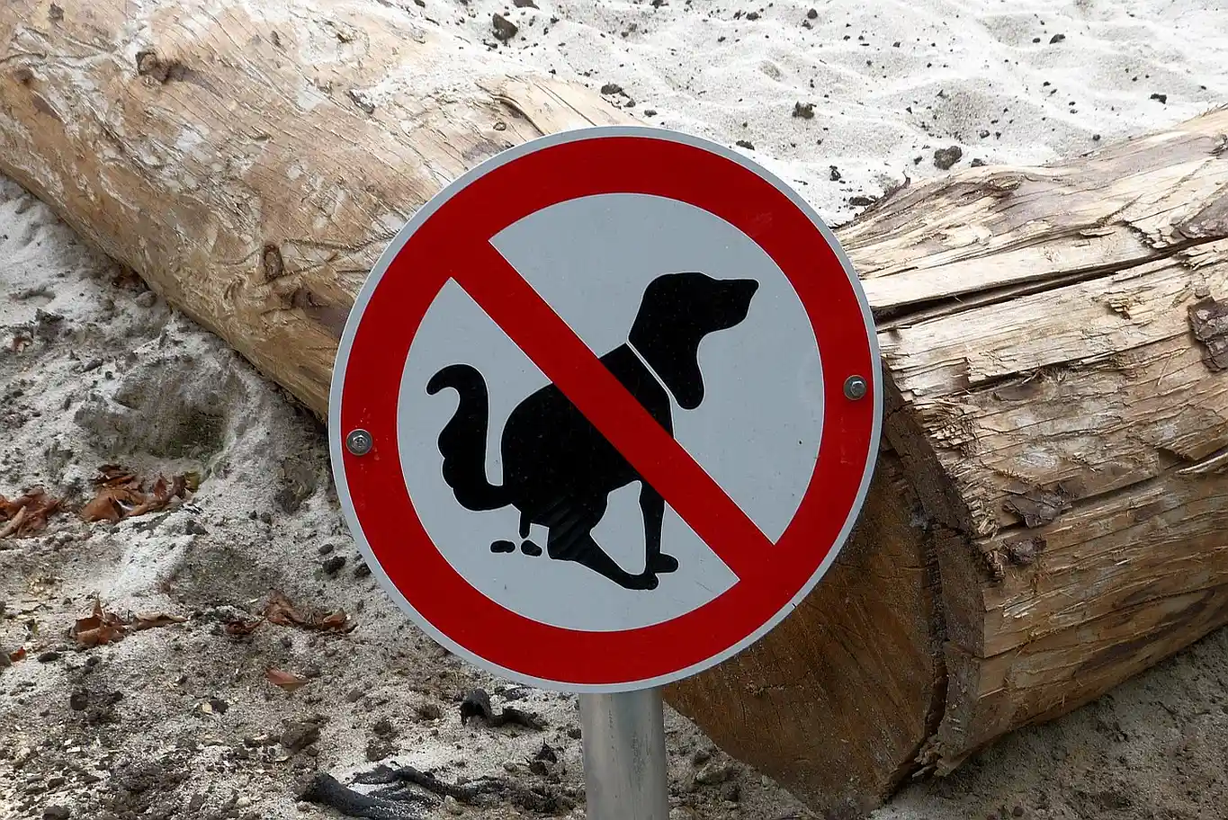 Hundekot sorgt für Ärger in Königsfeld