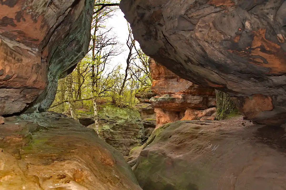 Vortrag mit Sven von Loga: 400 Millionen Jahre Eifel Schluchten, Höhlen, Fossilien und Vulkane